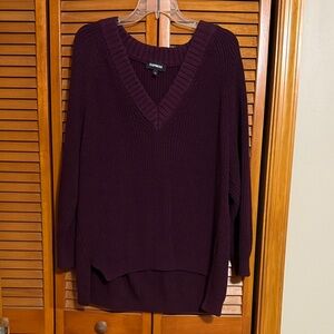 Express Women's Deep Purple V-Neck Sweater